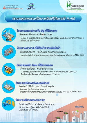 ประเภทอุตสาหกรรมที่มีความเป็นไปได้ในการใช้ H2 และ NG